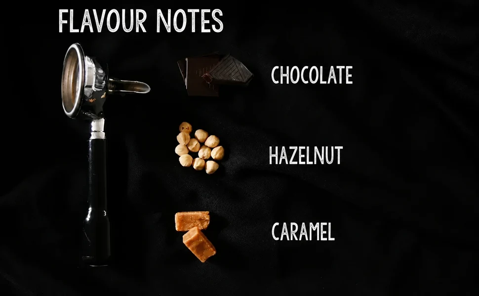 Darkest Power Coffee flavour notes: chocolate, hazelnuts and caramel beside a portafilter